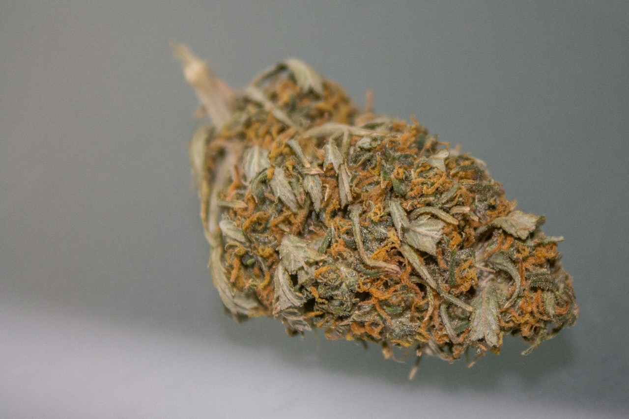 White Widow と Super Silver Haze の生みの親 Shantibaba