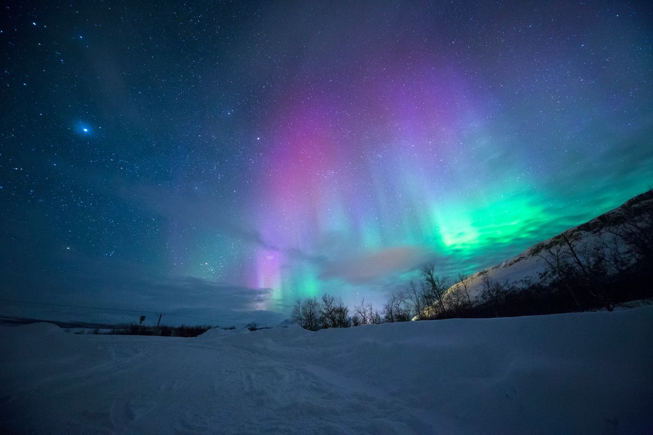 Northern Lights の生みの親 Neville Schoenmakers