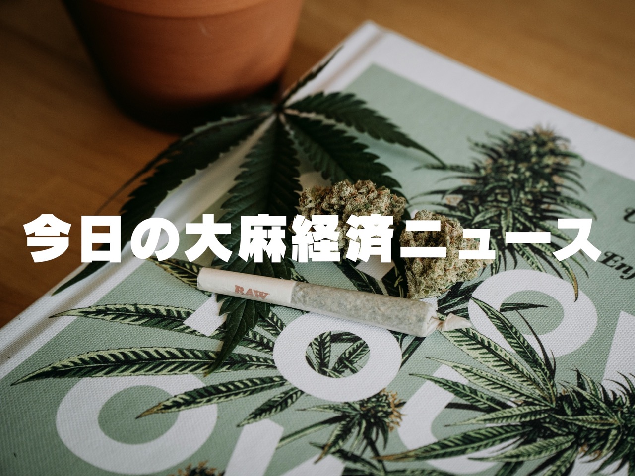今日の大麻経済ニュース(2026-02-01 JST)